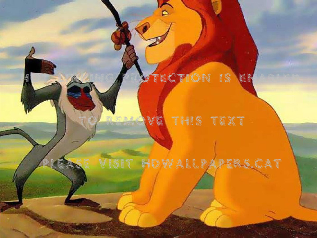 Lion King Lion Sitting , HD Wallpaper & Backgrounds