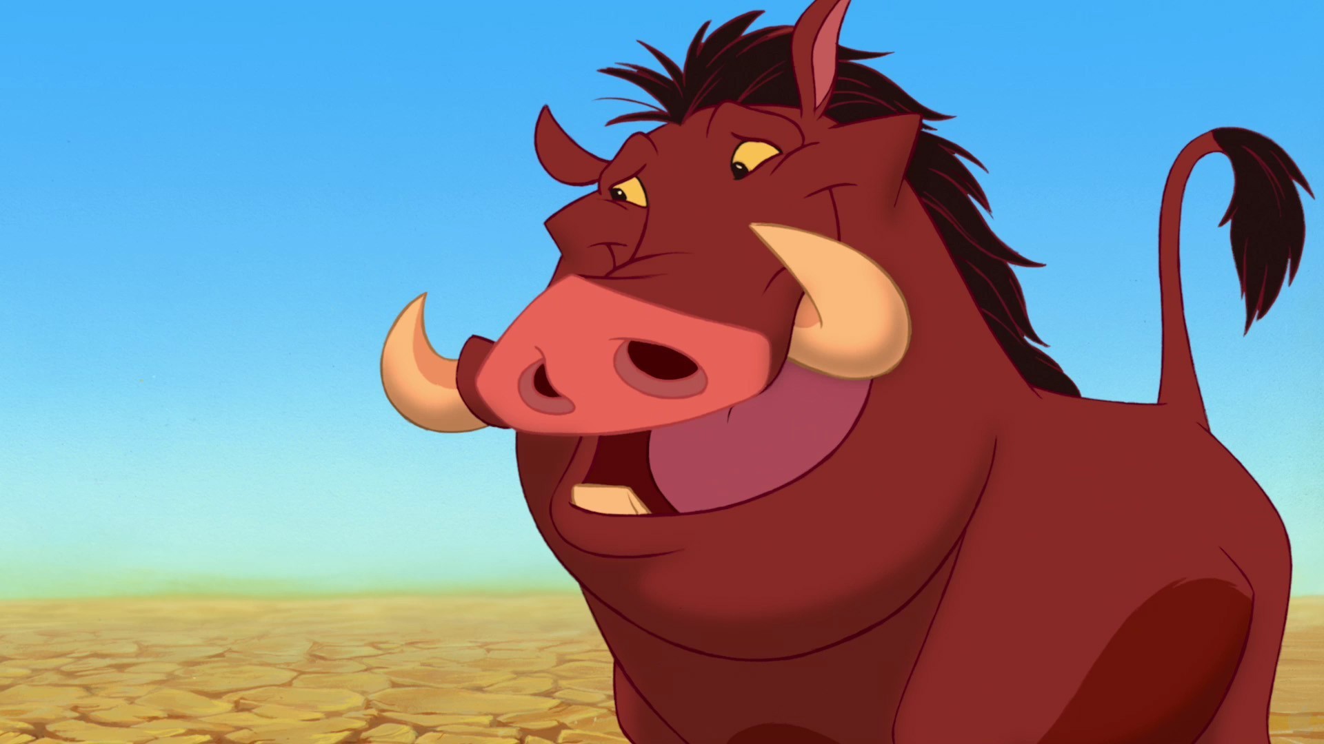 Disney Company Pumba The Lion King Cartoons Wallpaper - King Pumba , HD Wallpaper & Backgrounds