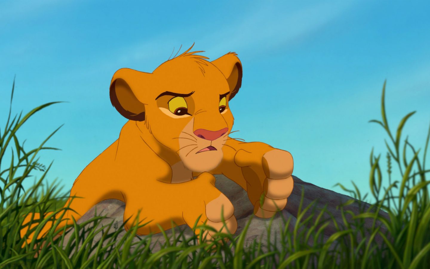 Cartoon Simba The Lion King , HD Wallpaper & Backgrounds