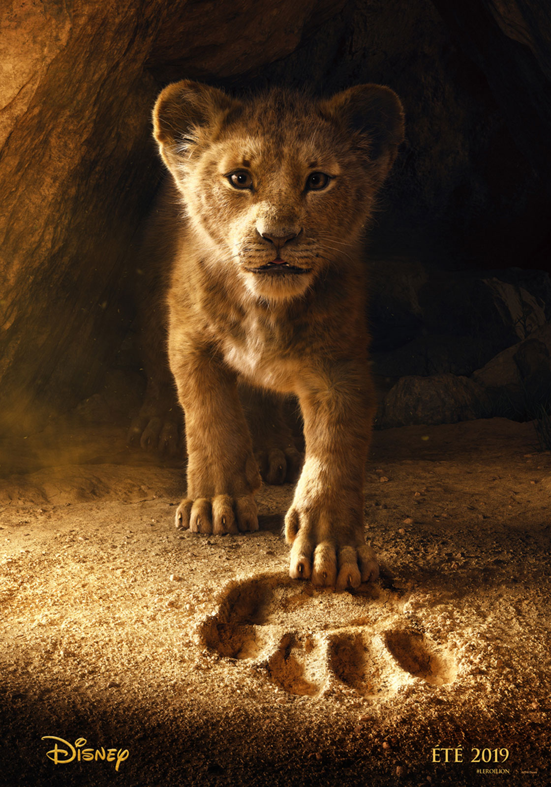 Lion King 2019 Hd , HD Wallpaper & Backgrounds