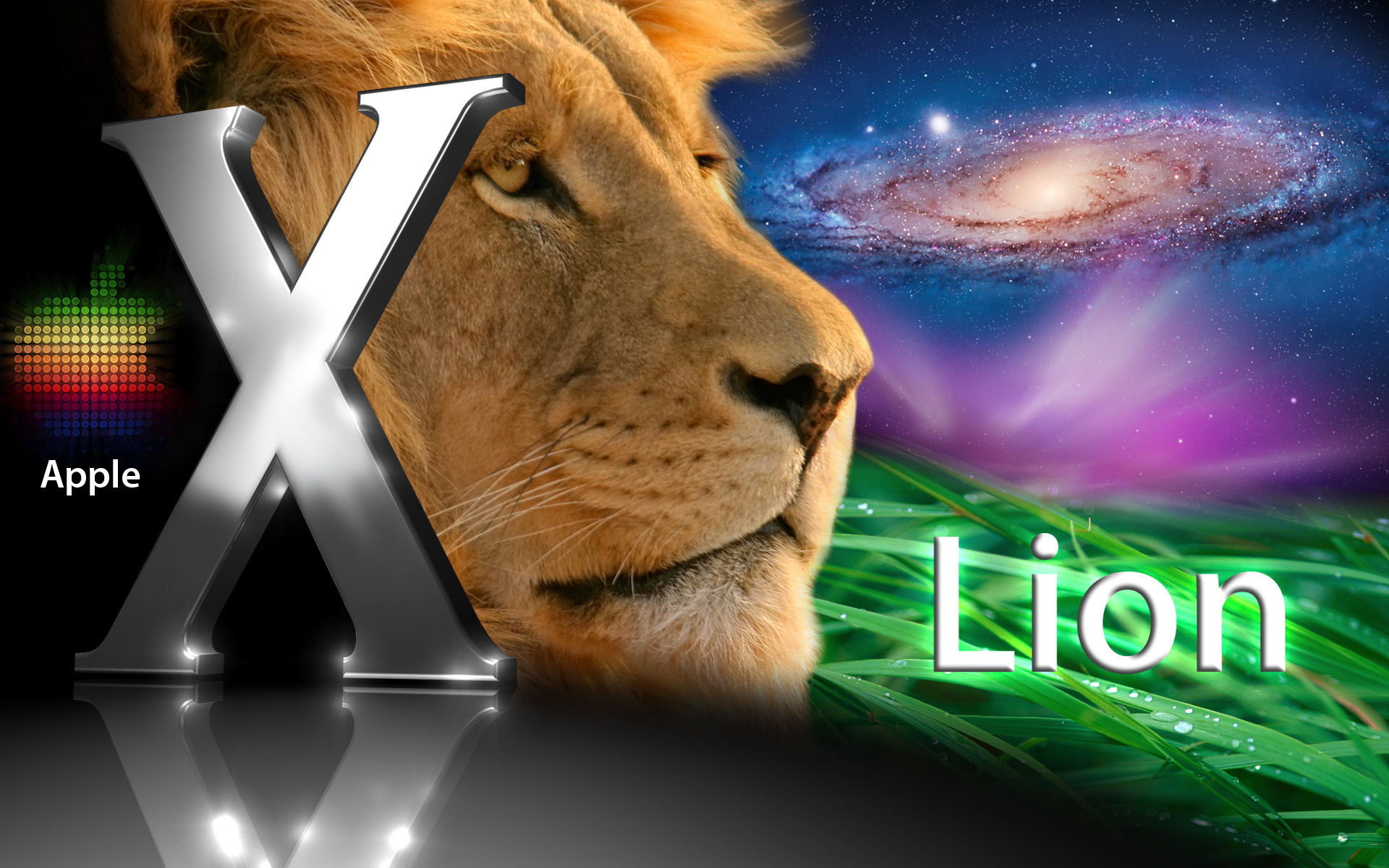 Macbook Lion Wallpaper Hd , HD Wallpaper & Backgrounds