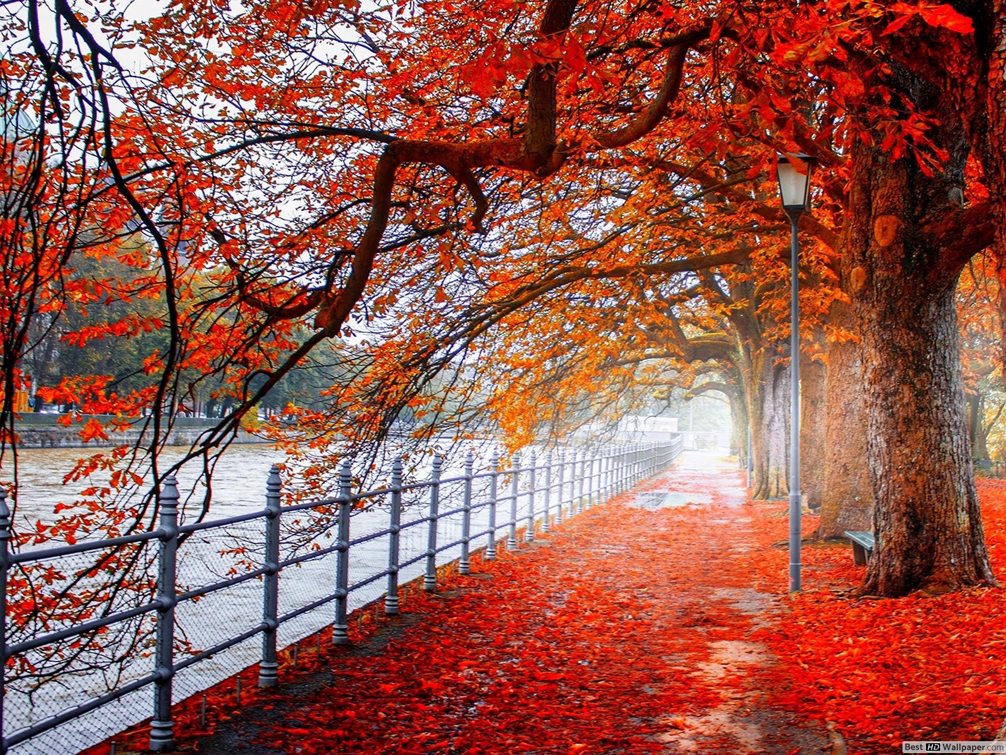 Autumn Images Wallpaper - Ultra Hd Background Nature , HD Wallpaper & Backgrounds