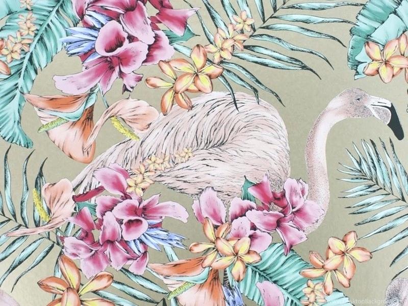 Wallpapers - Flamingo Tapetti , HD Wallpaper & Backgrounds