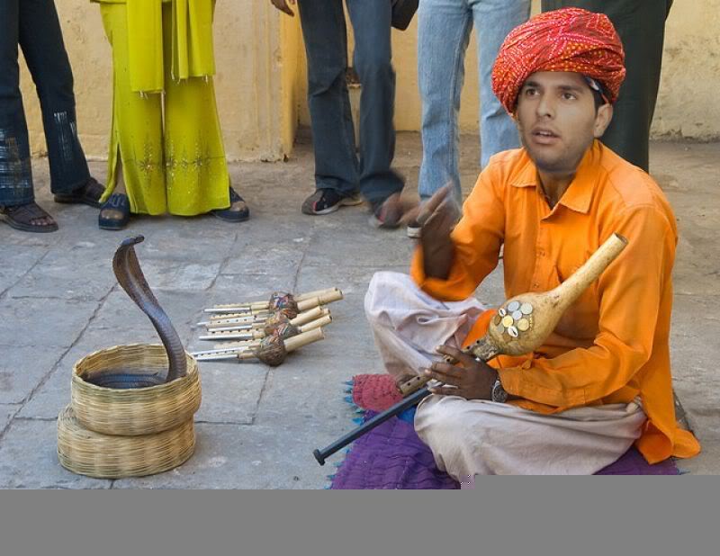 Yuvraj Singh Funny Photoshopped Cricket Picture - Snake Charmer , HD Wallpaper & Backgrounds