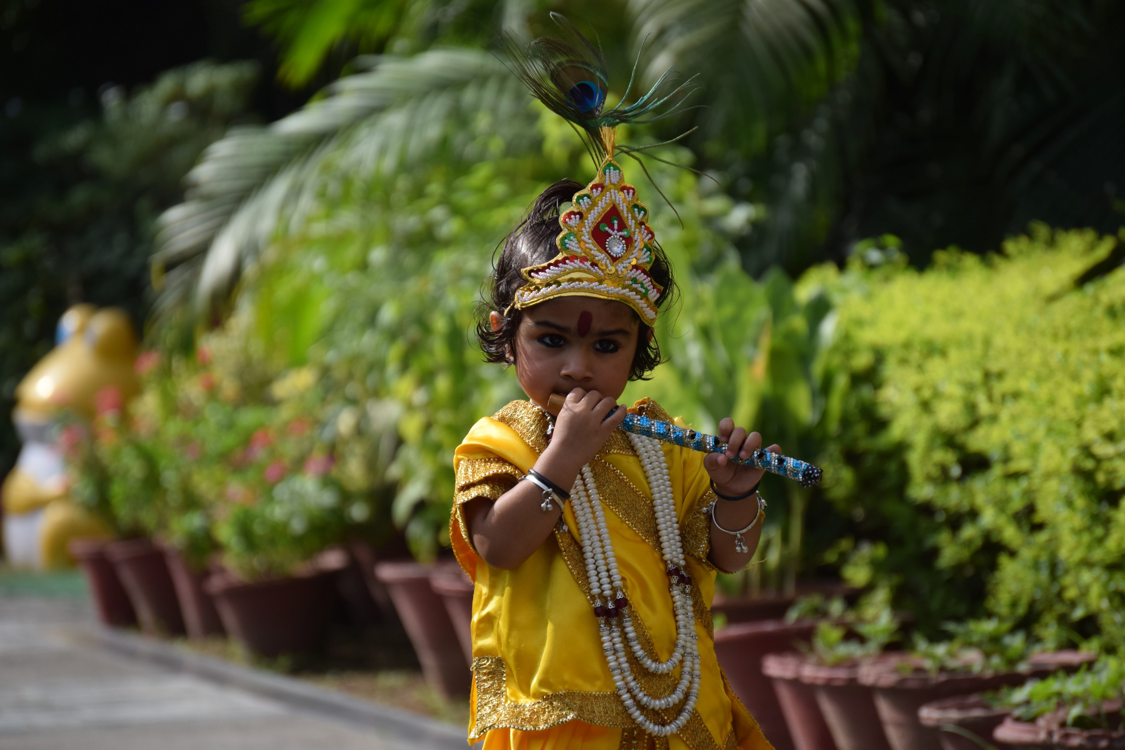 #3840x2560 Indium Flute Krishna And Child Hd 4k Wallpaper - Tree , HD Wallpaper & Backgrounds