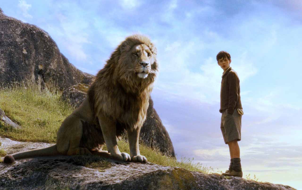 Chronicles Of Narnia Wallpapers - Lion From The Lion The Witch , HD Wallpaper & Backgrounds