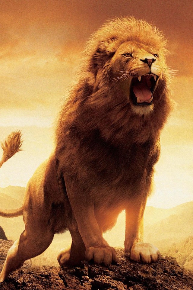 Narnia Lion - Leones Fondos De Pantalla Hd , HD Wallpaper & Backgrounds