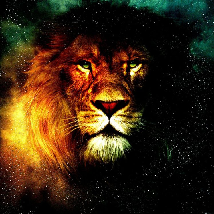 Narnia, Adventure, Fantasy, Series, Disney, Chronicles, - Background Lion Hd , HD Wallpaper & Backgrounds