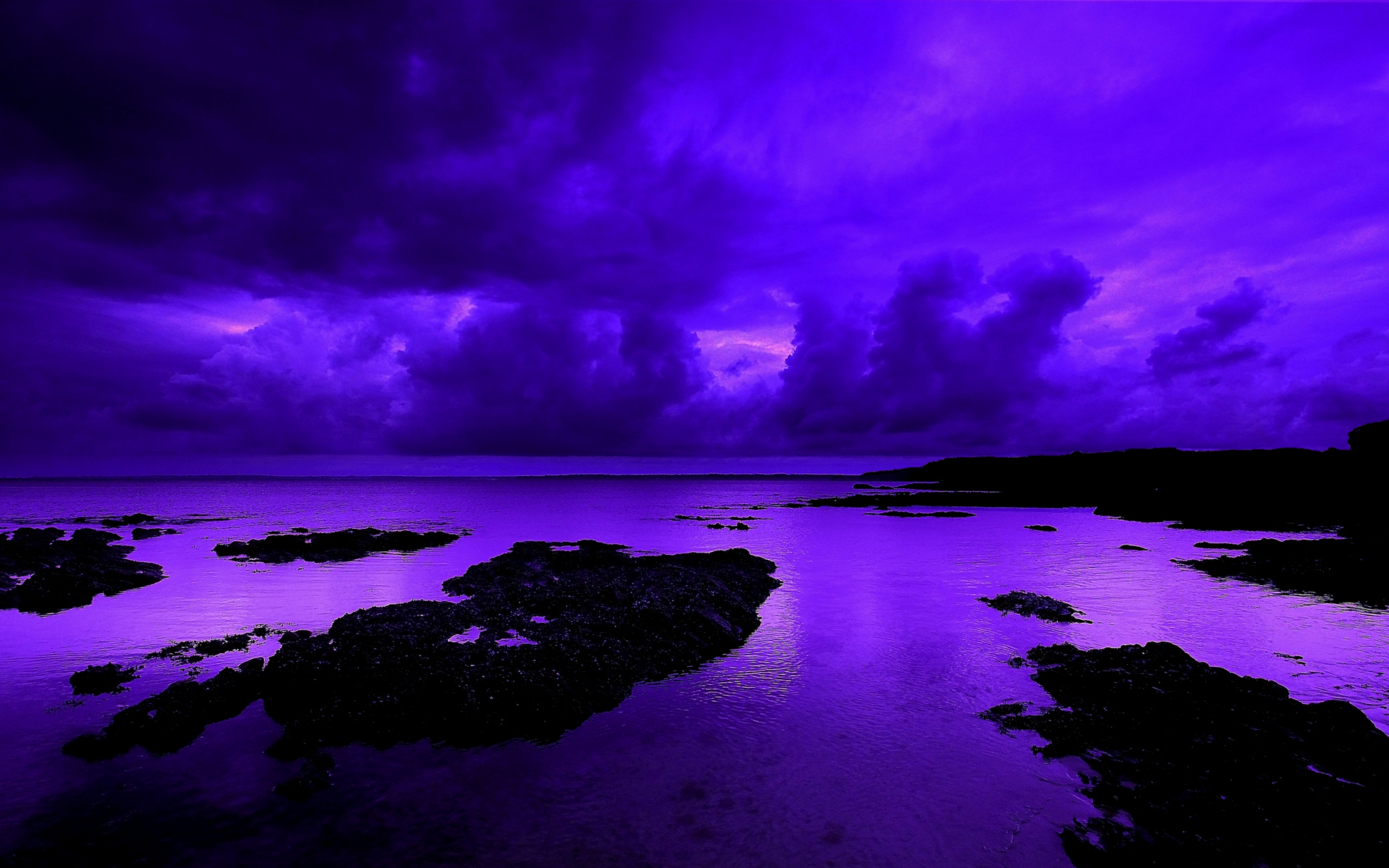 Violet Wallpaper - Violet Nature , HD Wallpaper & Backgrounds
