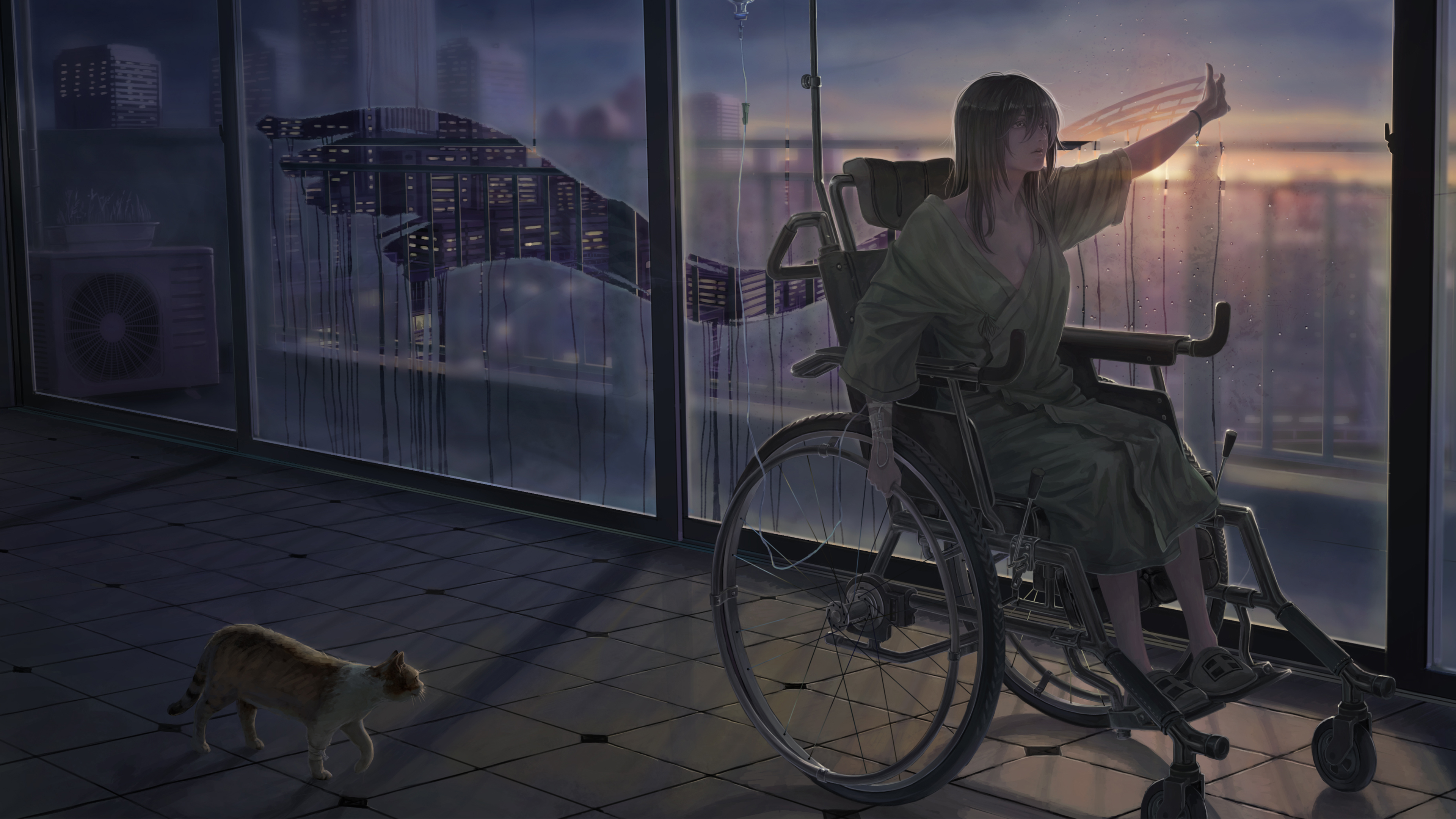 Anime, Wheelchair, Cat, Girl Wallpaper And Background - Anime Girl In A Wheelchair , HD Wallpaper & Backgrounds