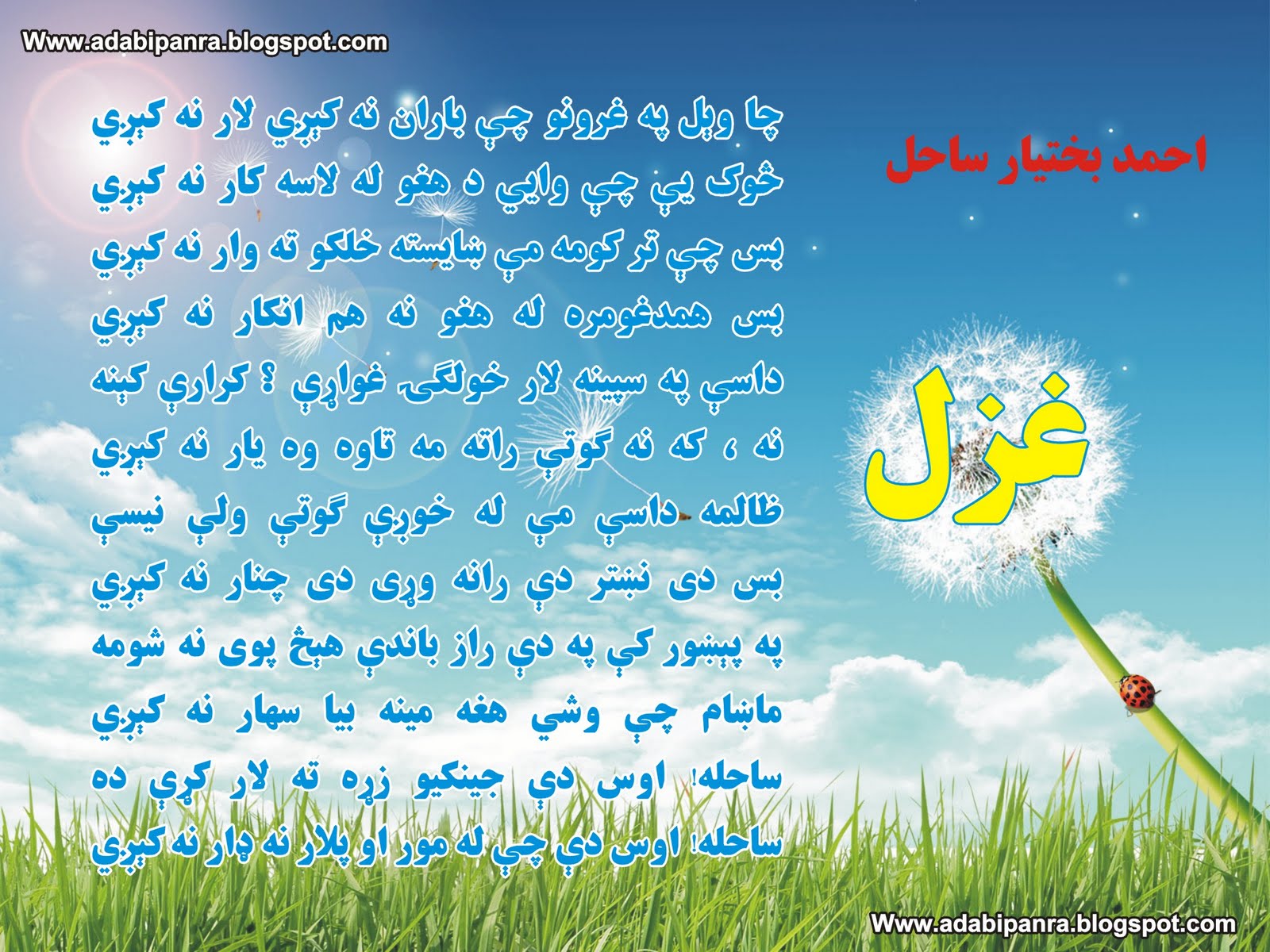 Sahil Name Wallpaper - Inamullah Name , HD Wallpaper & Backgrounds