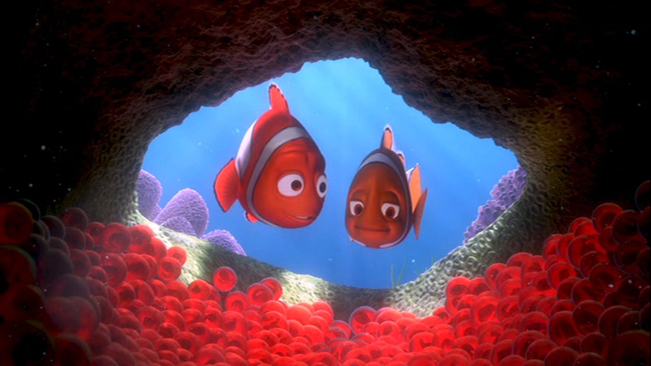 Download - - Clownfish Eggs Finding Nemo , HD Wallpaper & Backgrounds