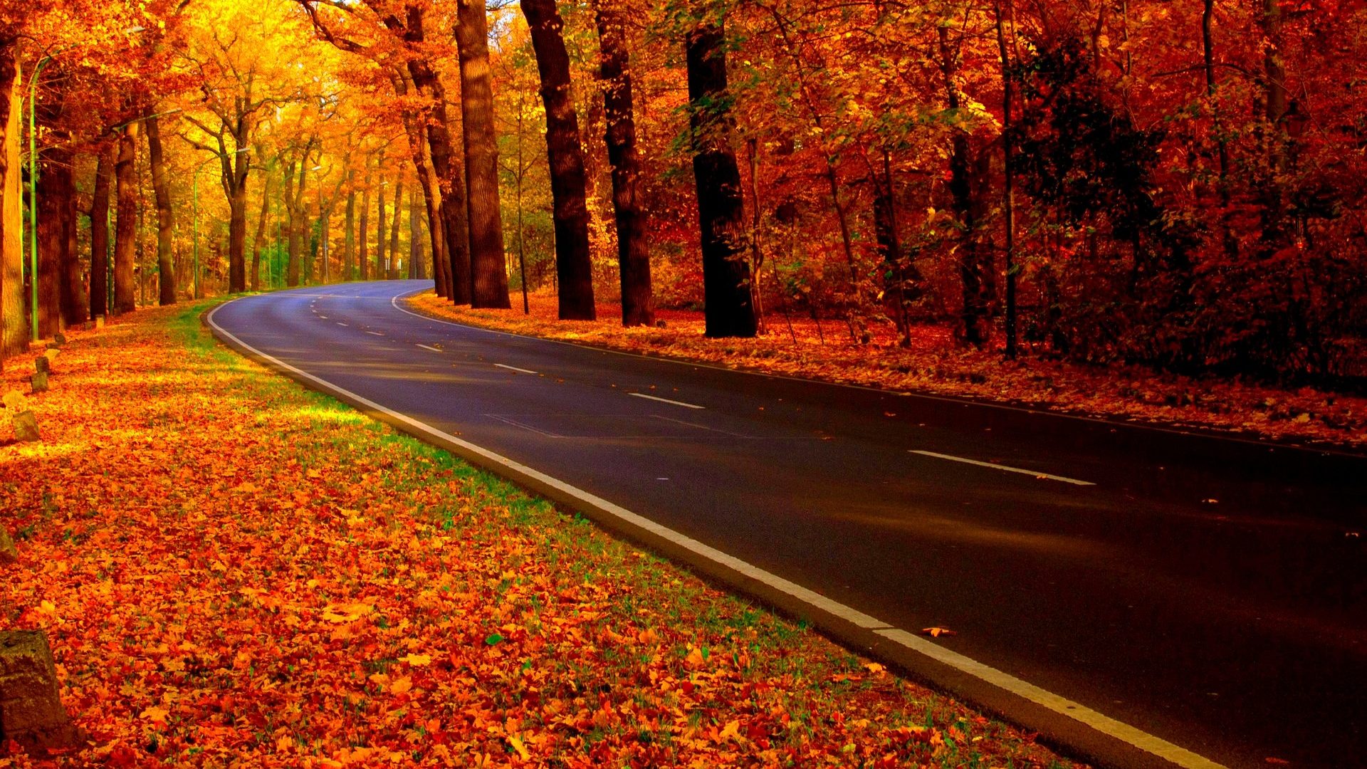 Mobile Hd Wallpapers - Road In The Woods Hd , HD Wallpaper & Backgrounds