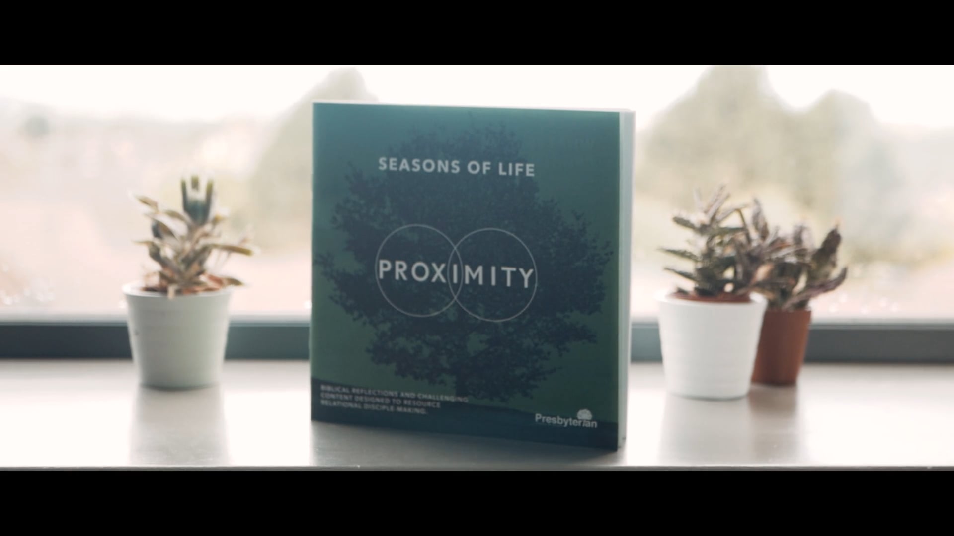 Proximity Promo - Flowerpot , HD Wallpaper & Backgrounds