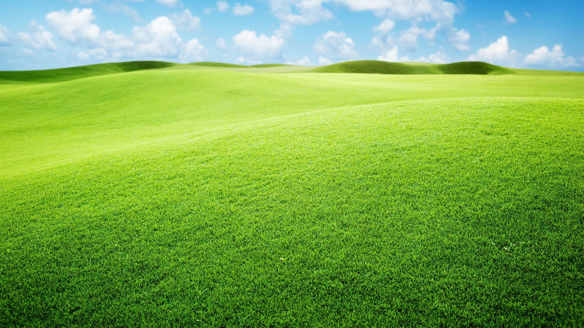Prairie - Green Landscape Background , HD Wallpaper & Backgrounds
