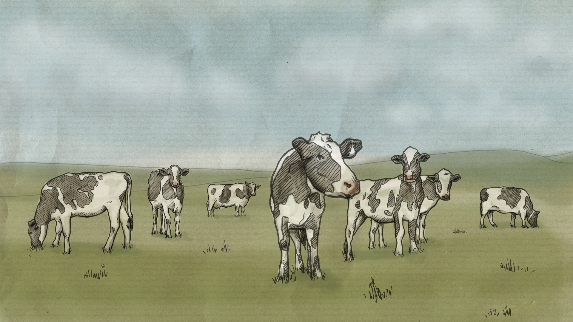 Wallpaper Drawing, Cows, Milk, Prairie - Wallpaper , HD Wallpaper & Backgrounds