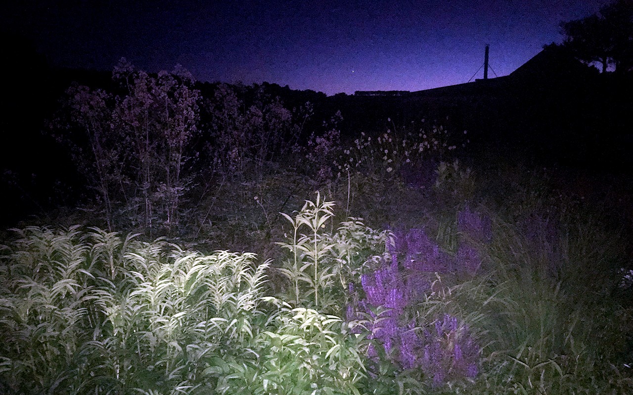 The Night Garden - Grass , HD Wallpaper & Backgrounds