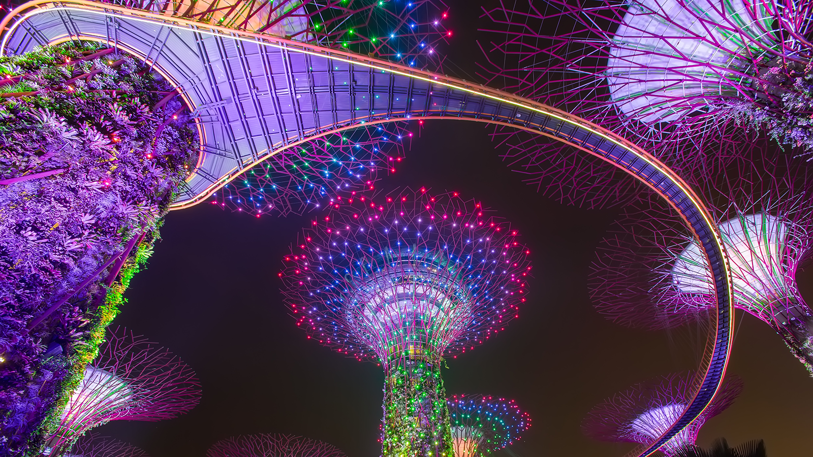 Supertree Garden At Night, Garden By The Bay, Singapore - Garden By The Bay Singapore Night , HD Wallpaper & Backgrounds