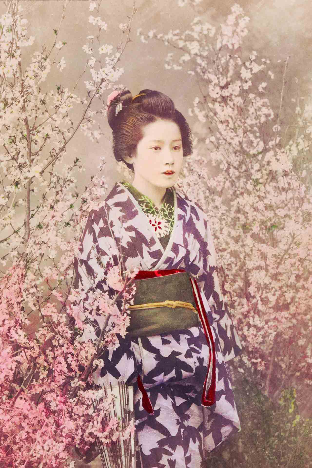 Carasaven Geisha Wallpaper Vintage Geisha 1542731 Hd Carasaven Geisha Wallpaper Vintage Geisha 1542731 Hd