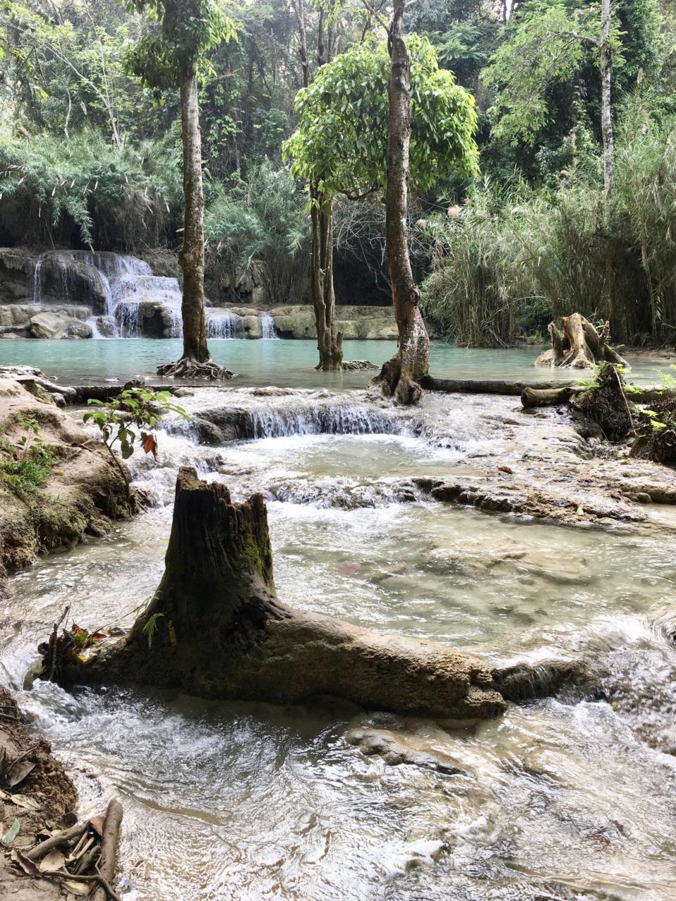 Kuang Si Waterfall, Laos [oc] [1242×1656] - Tree Stump , HD Wallpaper & Backgrounds