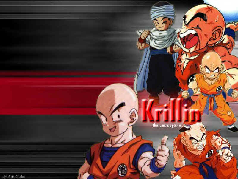 If You Like Krillin This Is For You - Dragon Ball Z , HD Wallpaper & Backgrounds