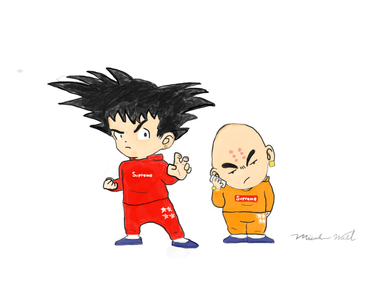 Goku X Krillin - Goku And Krillin Supreme , HD Wallpaper & Backgrounds