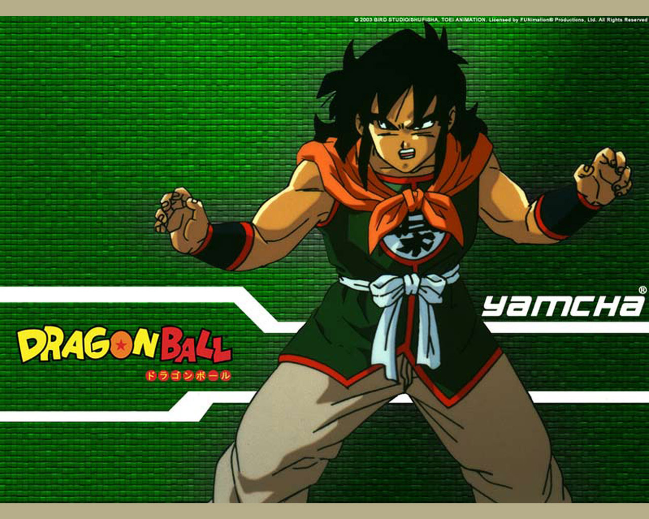 Yamcha - Dragon Ball Z , HD Wallpaper & Backgrounds