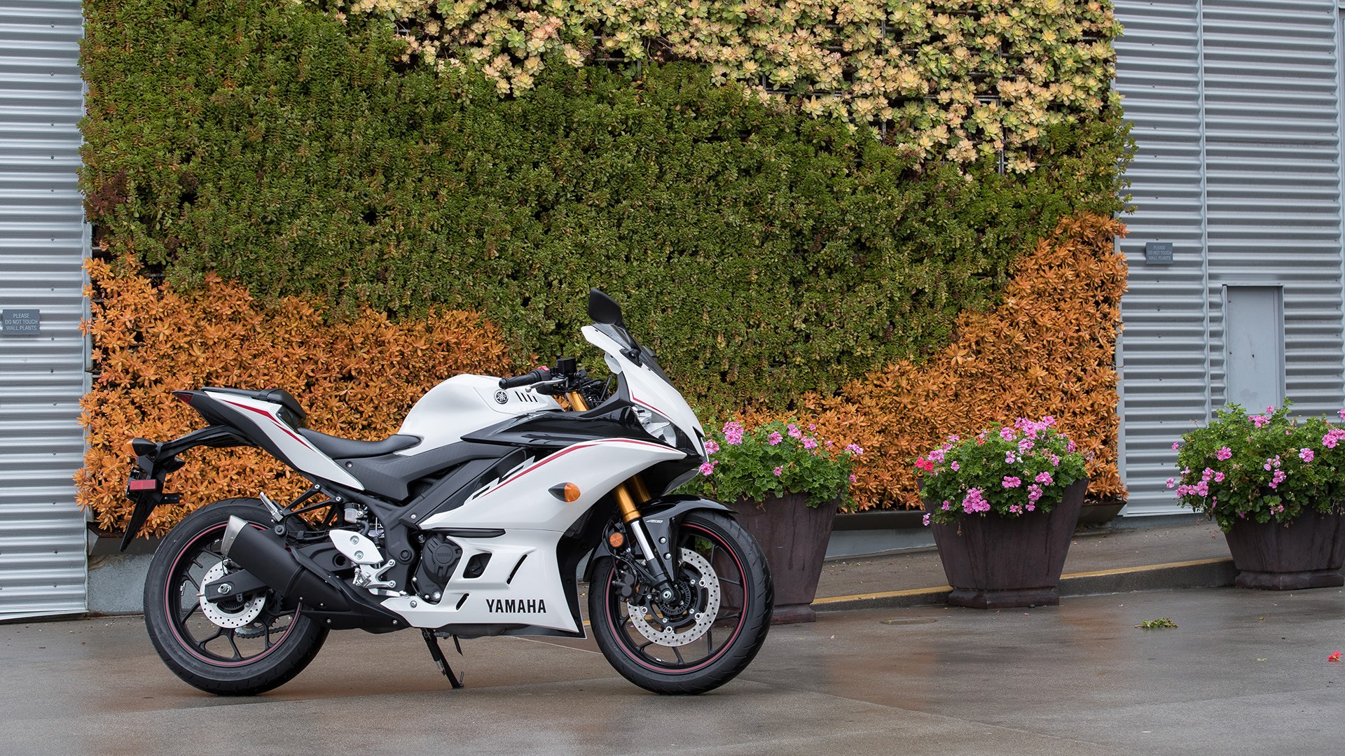 New Yamaha R3 2019 , HD Wallpaper & Backgrounds