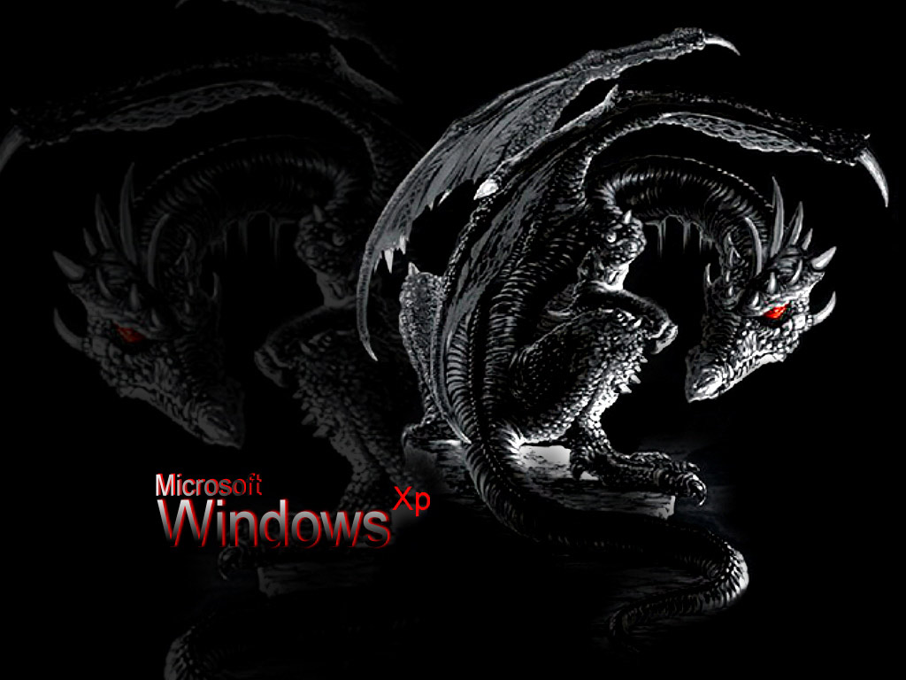 Blue Eyes White Dragon Backgrounds Hd Pixelstalk Dragon - Windows 10 Dragon Hd , HD Wallpaper & Backgrounds