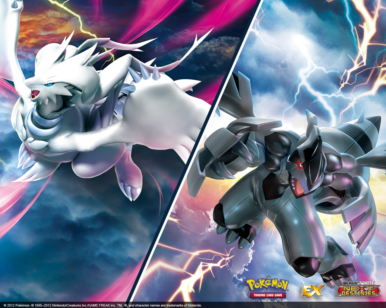 Thumbnail - >> - Pokemon Zekrom And Reshiram , HD Wallpaper & Backgrounds