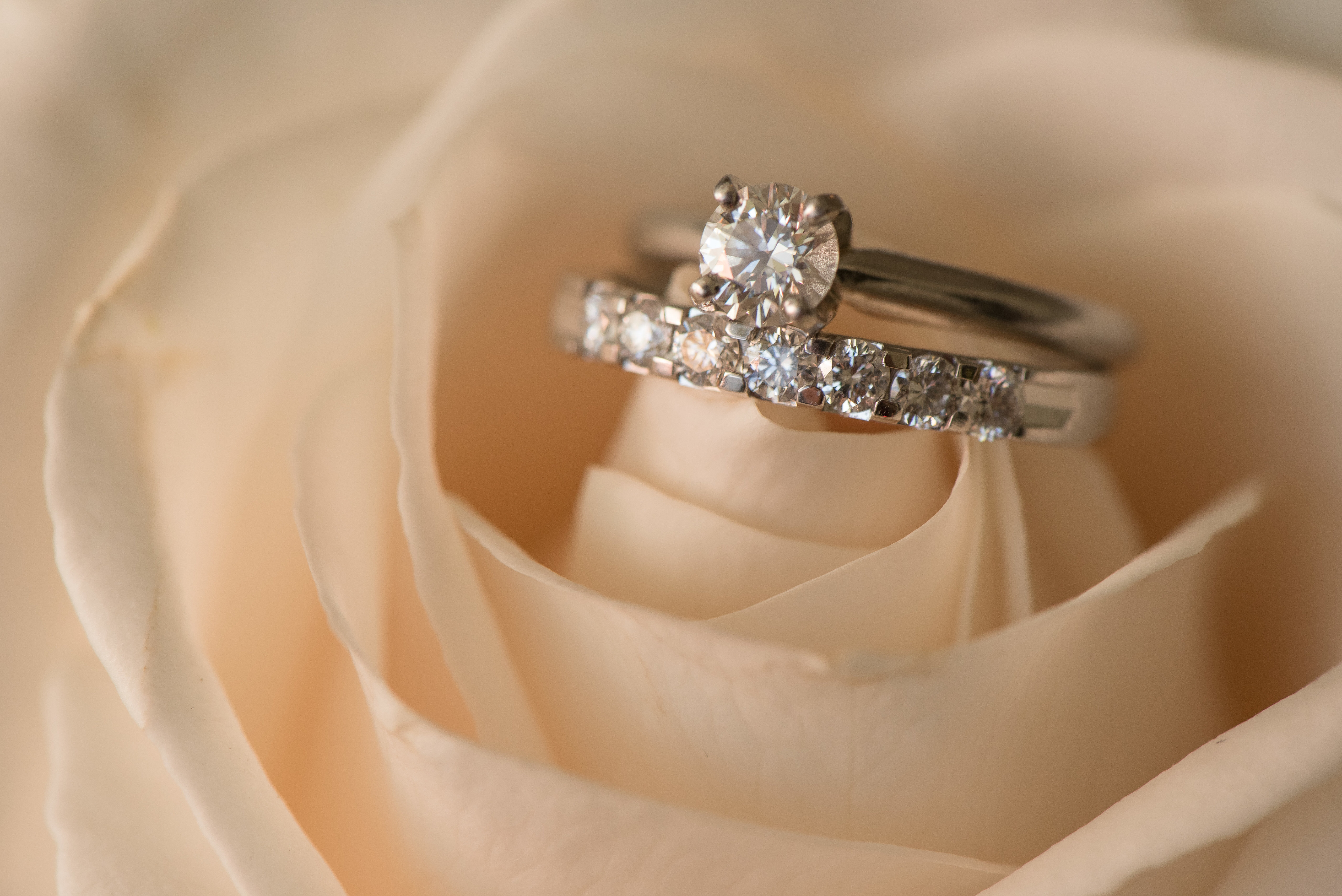 Kertas Dinding Pernikahan, Cincin, Bunga, Mawar - Flores Con Anillo De Boda , HD Wallpaper & Backgrounds