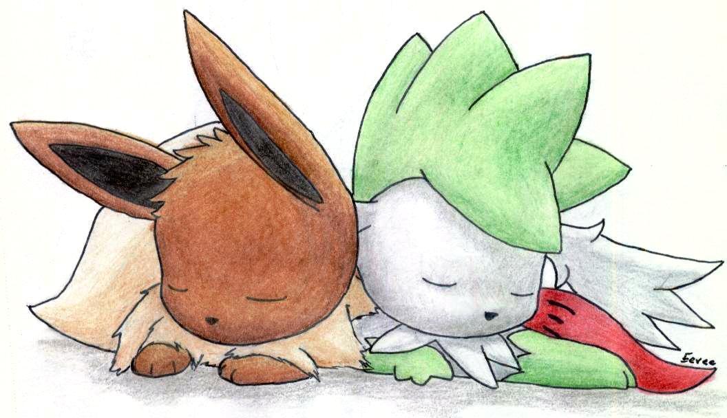 Eevee And Shaymin , HD Wallpaper & Backgrounds