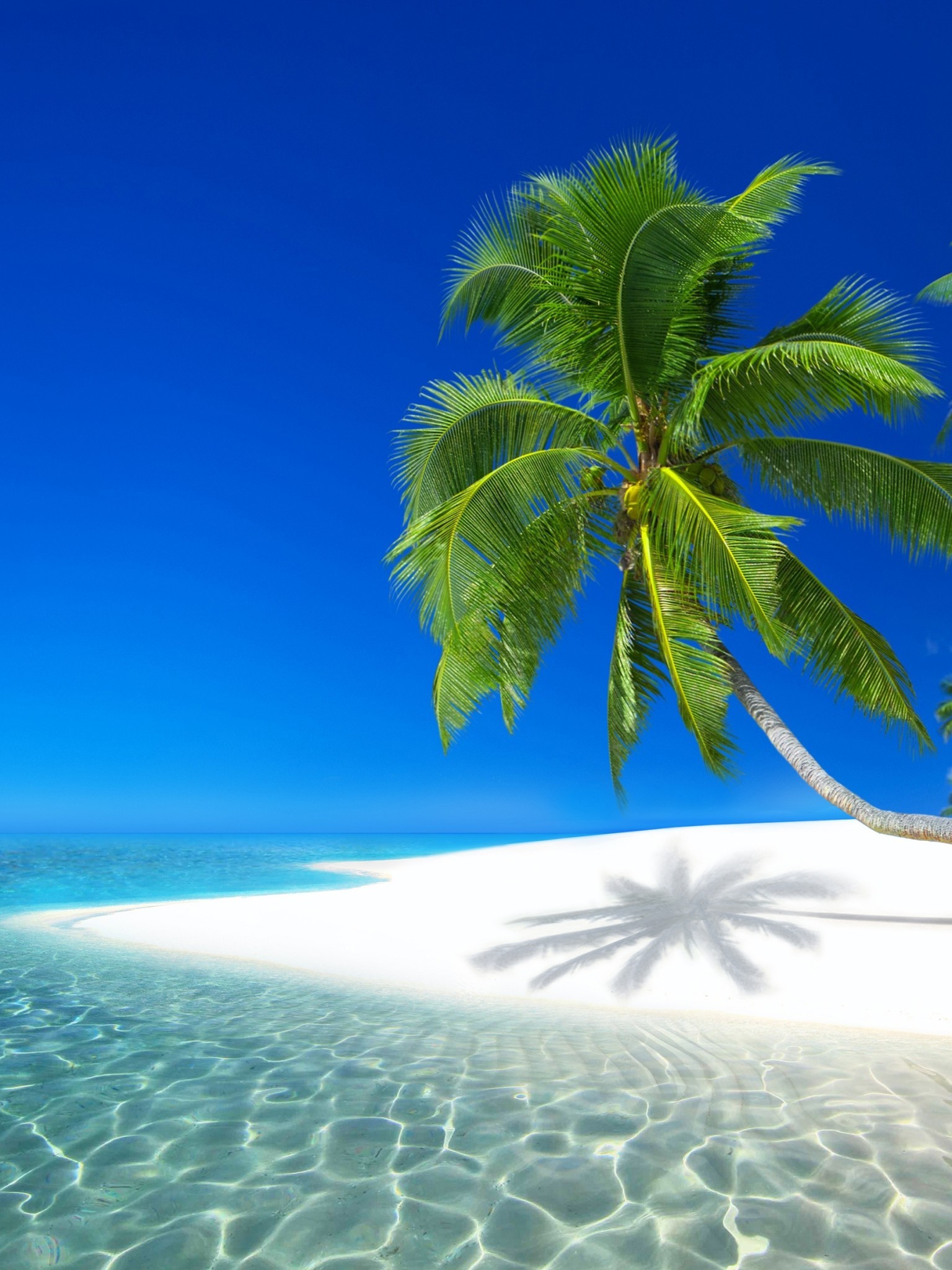 Seychelles Resort, Ocean, Holiday, Beach, Island - Beach Wallpaper For Iphone 8 , HD Wallpaper & Backgrounds