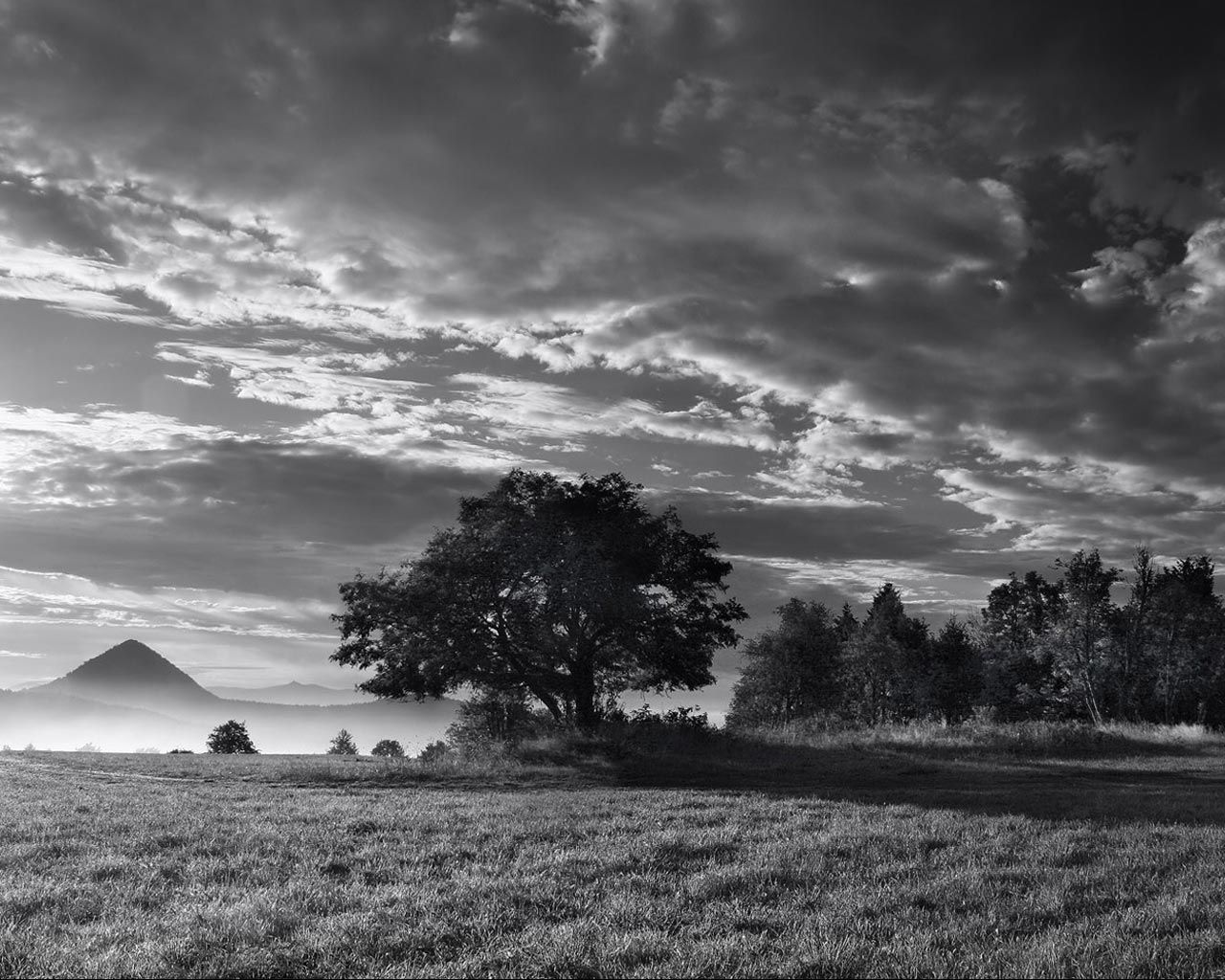 Paysage Noir Et Blanc , HD Wallpaper & Backgrounds