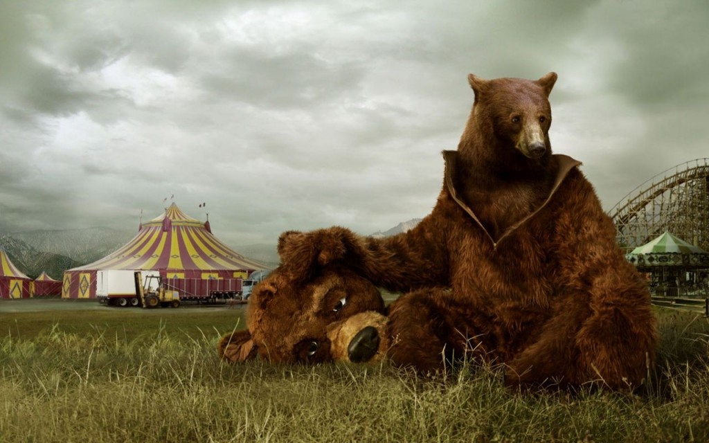 Oso Triste En El Circo - Bear Advertising , HD Wallpaper & Backgrounds