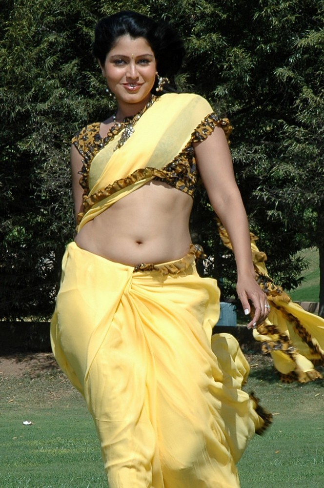 South Actress Wallpaper In Saree - Hot Tamil Aunty Navel , HD Wallpaper & Backgrounds