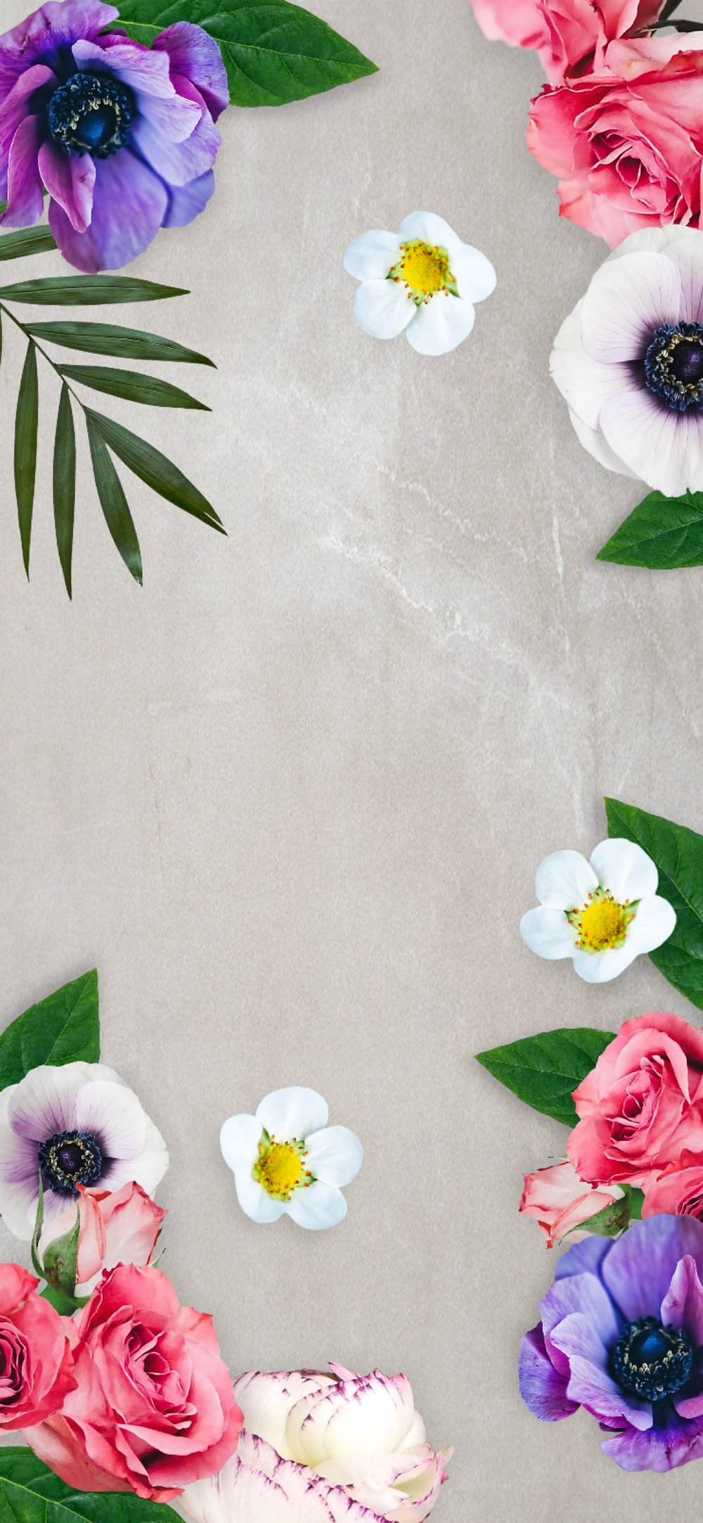 Beautiful home screen wallpaper top