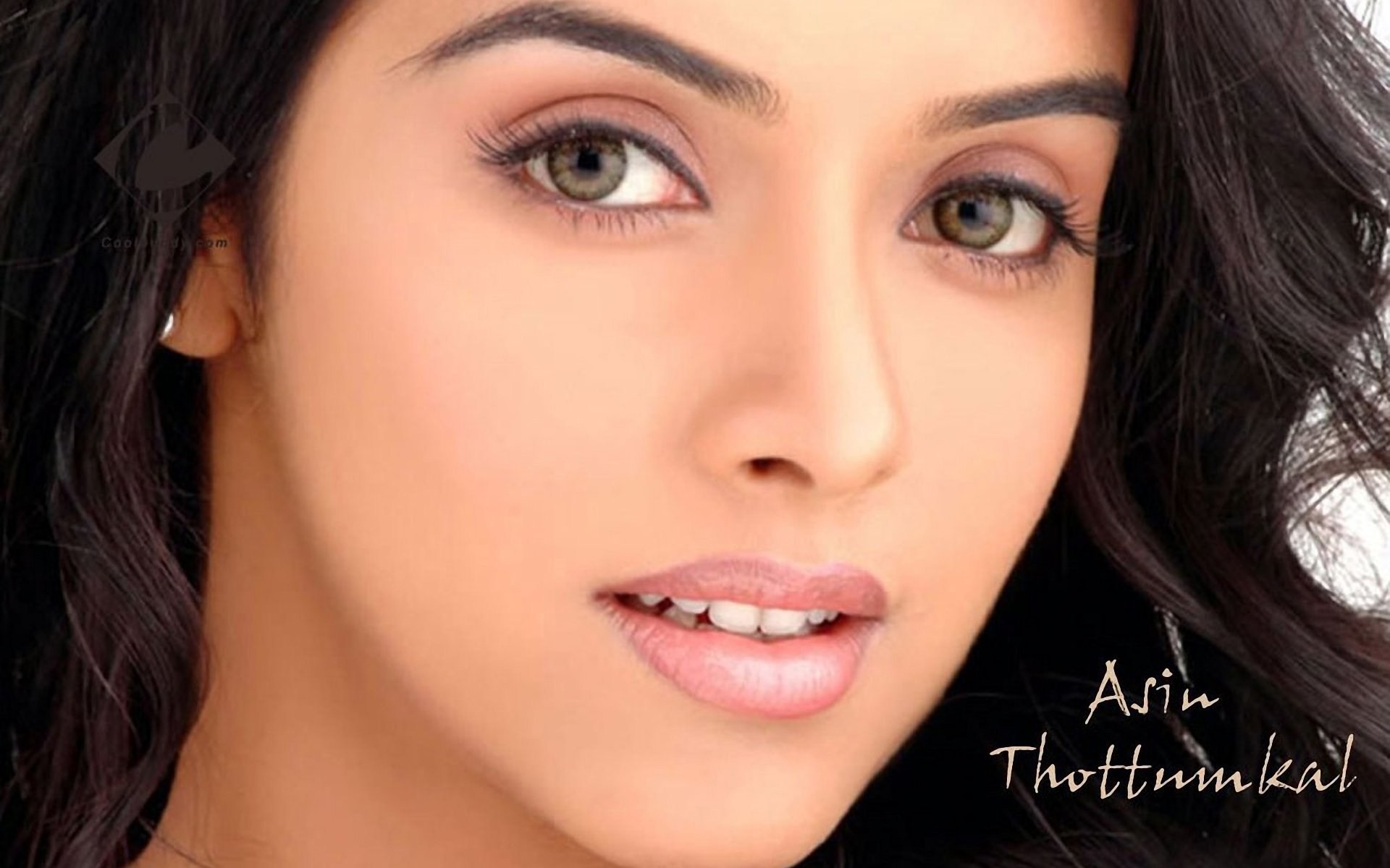 Beautiful Face Of Asin Thottumkal - Asin Beautiful , HD Wallpaper & Backgrounds