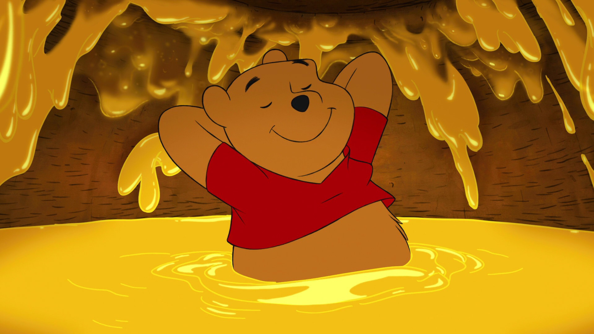 Gender Is Winnie The Pooh , HD Wallpaper & Backgrounds