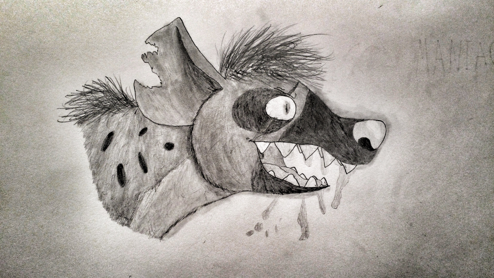 Hyenas Images My Hyena Drawing Hd Wallpaper And Background - Sketch , HD Wallpaper & Backgrounds