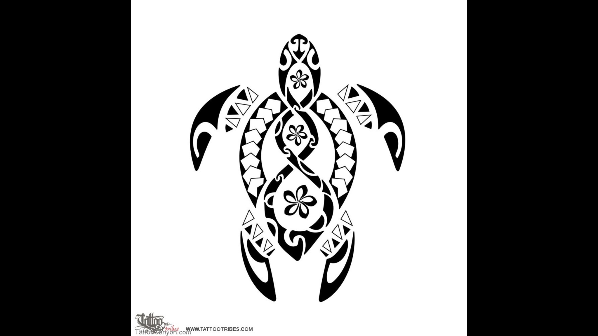 12598 Tattoo Design Free Download 21468 Samoan Tattoo - Tribal Sea Turtle Drawing , HD Wallpaper & Backgrounds