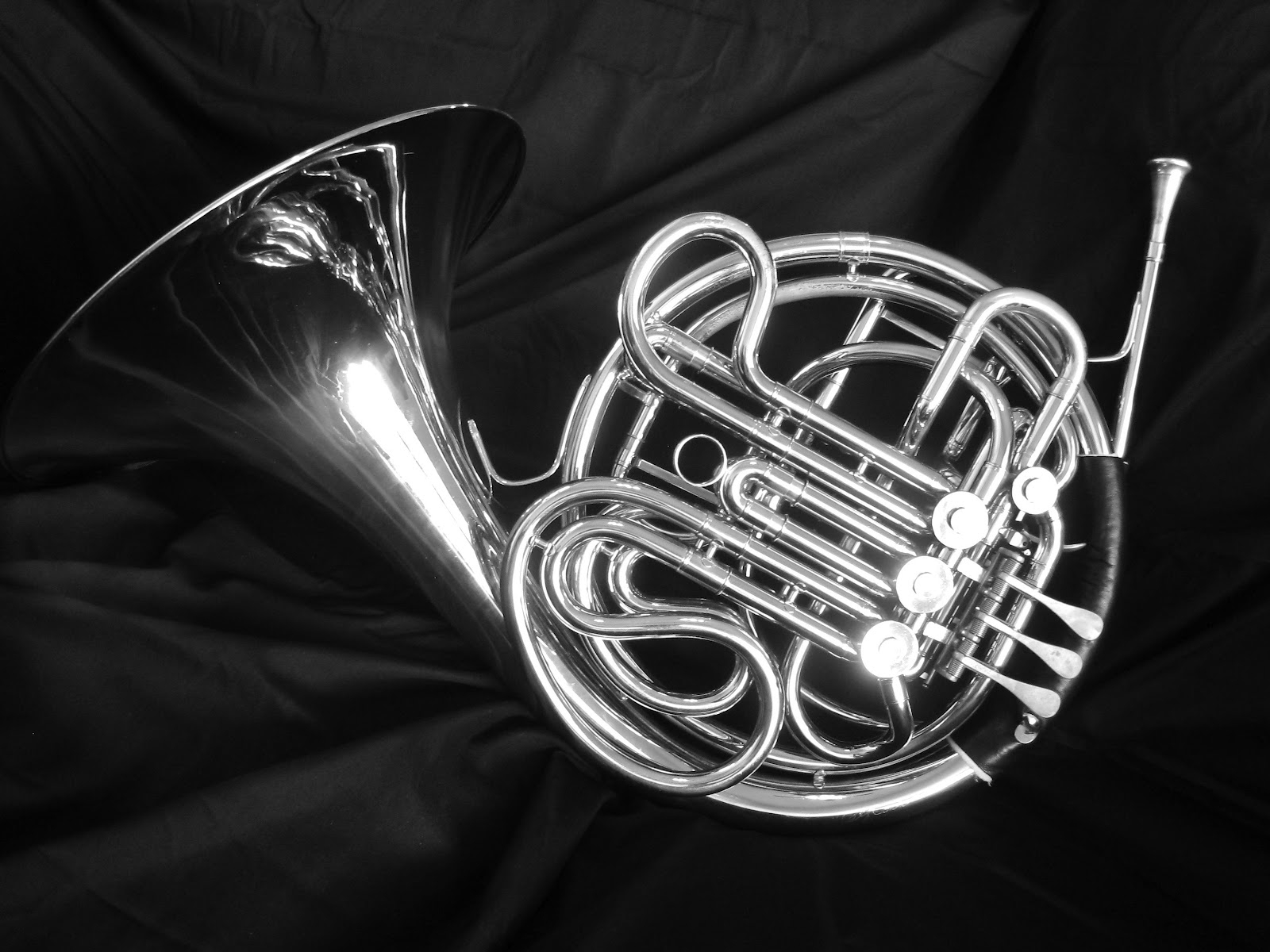 French Horn, Hobbies, Music, Wallpaper, Wallpapers, - Horn , HD Wallpaper & Backgrounds