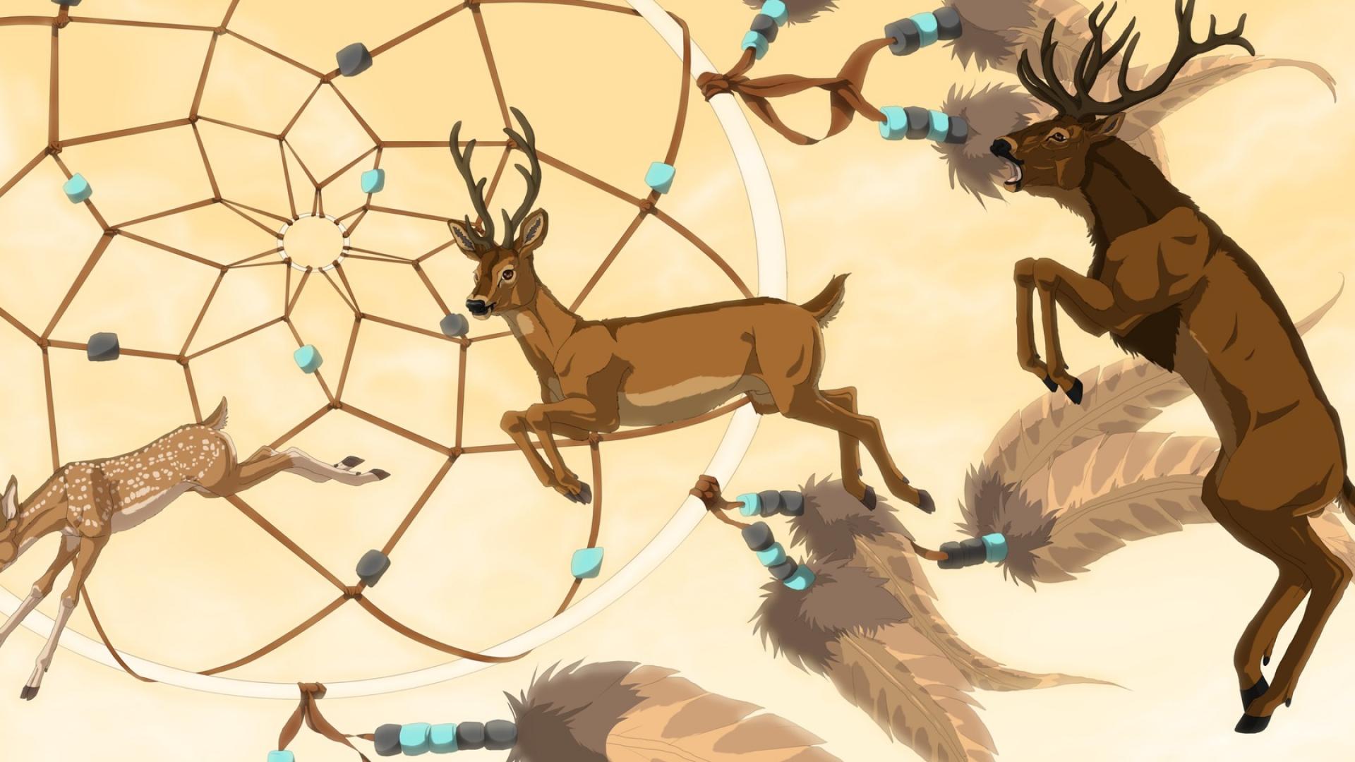 Art Dream Catcher Feathers Deer Animals Horn Hd Wallpaper - Dreamcatcher Deer , HD Wallpaper & Backgrounds