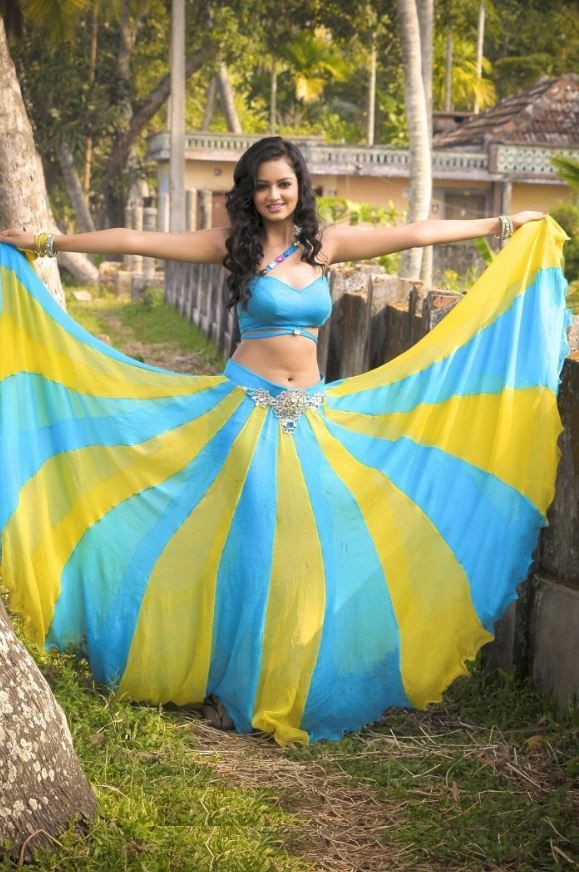 #shanvi #srivastava #biography #south #indian Film - South Indian Film Stars Hd , HD Wallpaper & Backgrounds