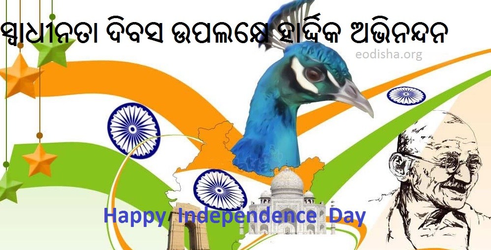 Happy Independence Day Odia Wallpaper , Greeting Cards - Cartoon Happy Independence Day , HD Wallpaper & Backgrounds