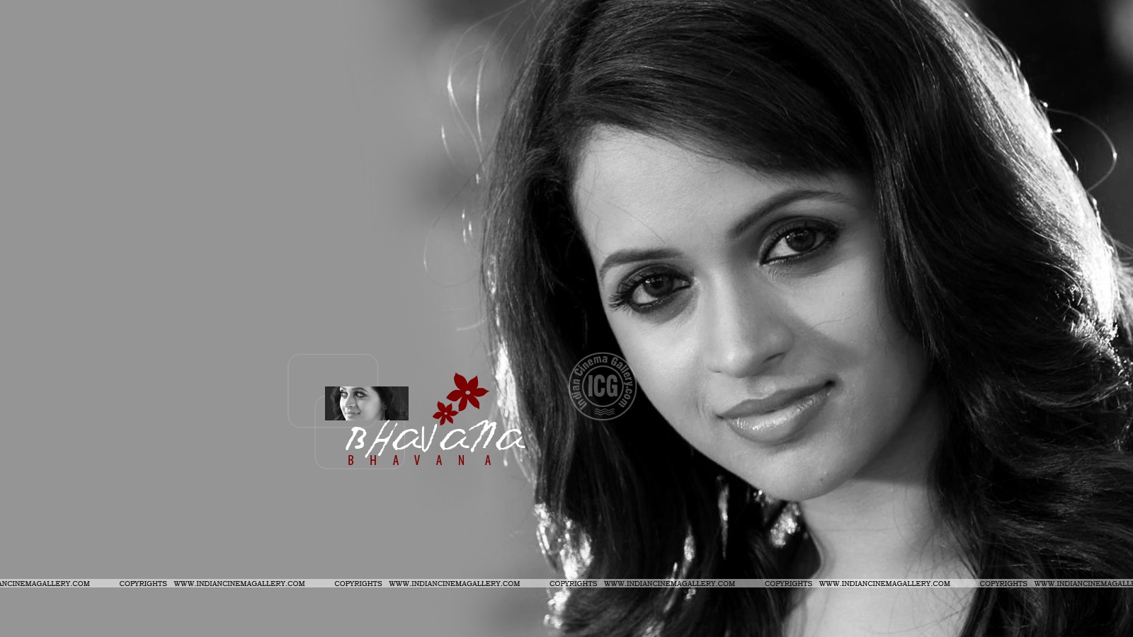 Bhavana Hot Hd Wallpapers - Girl , HD Wallpaper & Backgrounds
