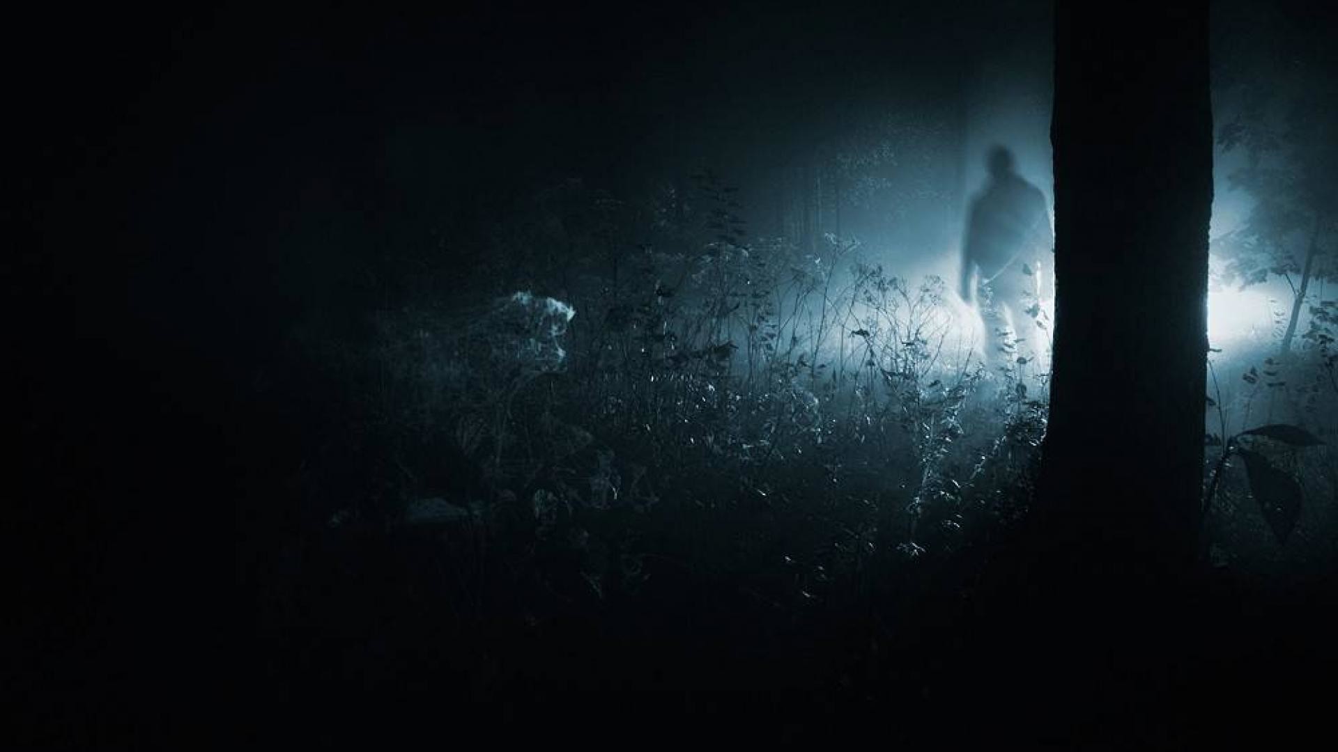 Dark Figure In The Woods , HD Wallpaper & Backgrounds
