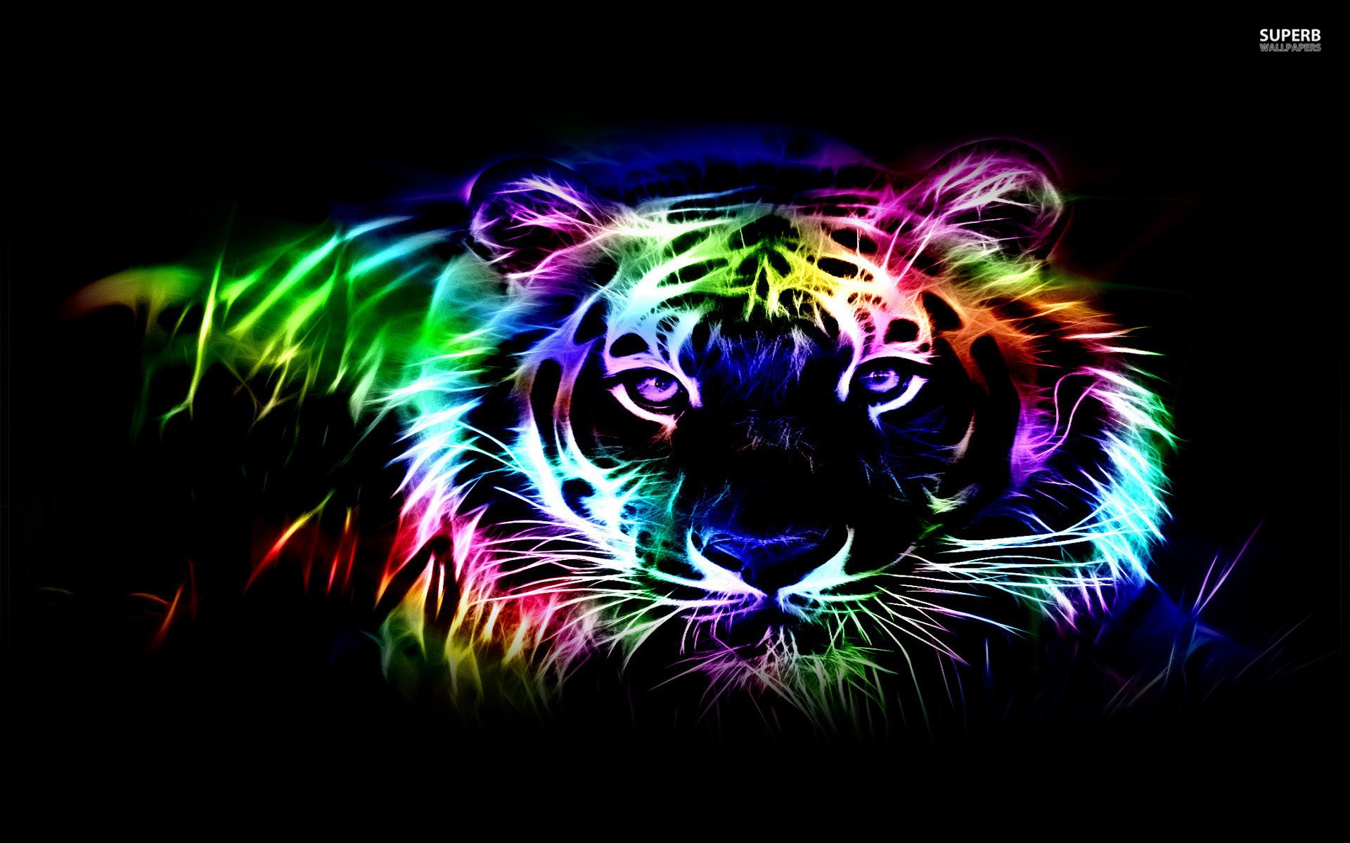 Neon Tiger Outline Wallpaper - Neon Painting On Canvas , HD Wallpaper & Backgrounds
