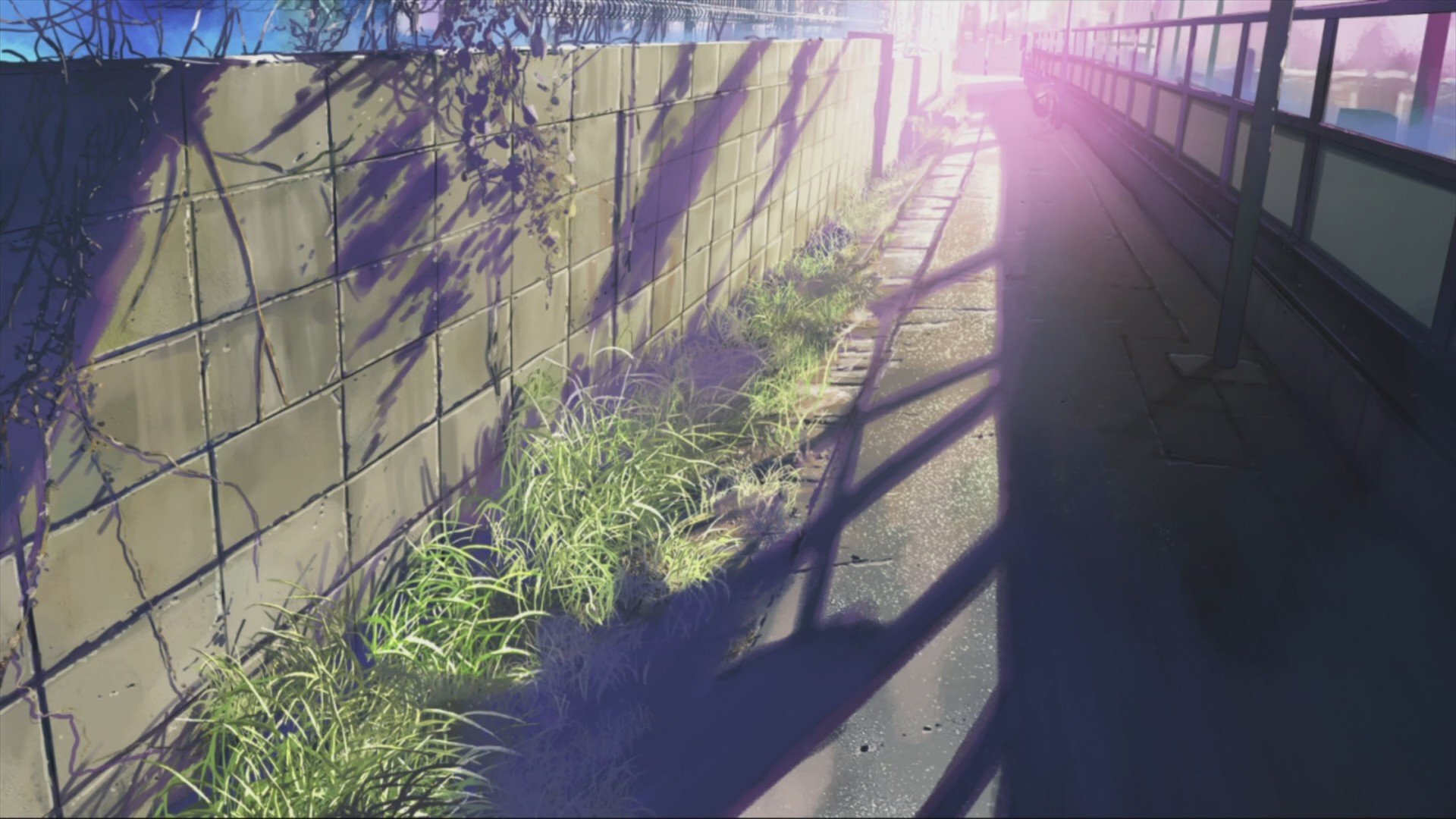 Anime, 5 Centimeters Per Second, Makoto Shinkai Hd - Anime Backgrounds Makoto Shinkai , HD Wallpaper & Backgrounds