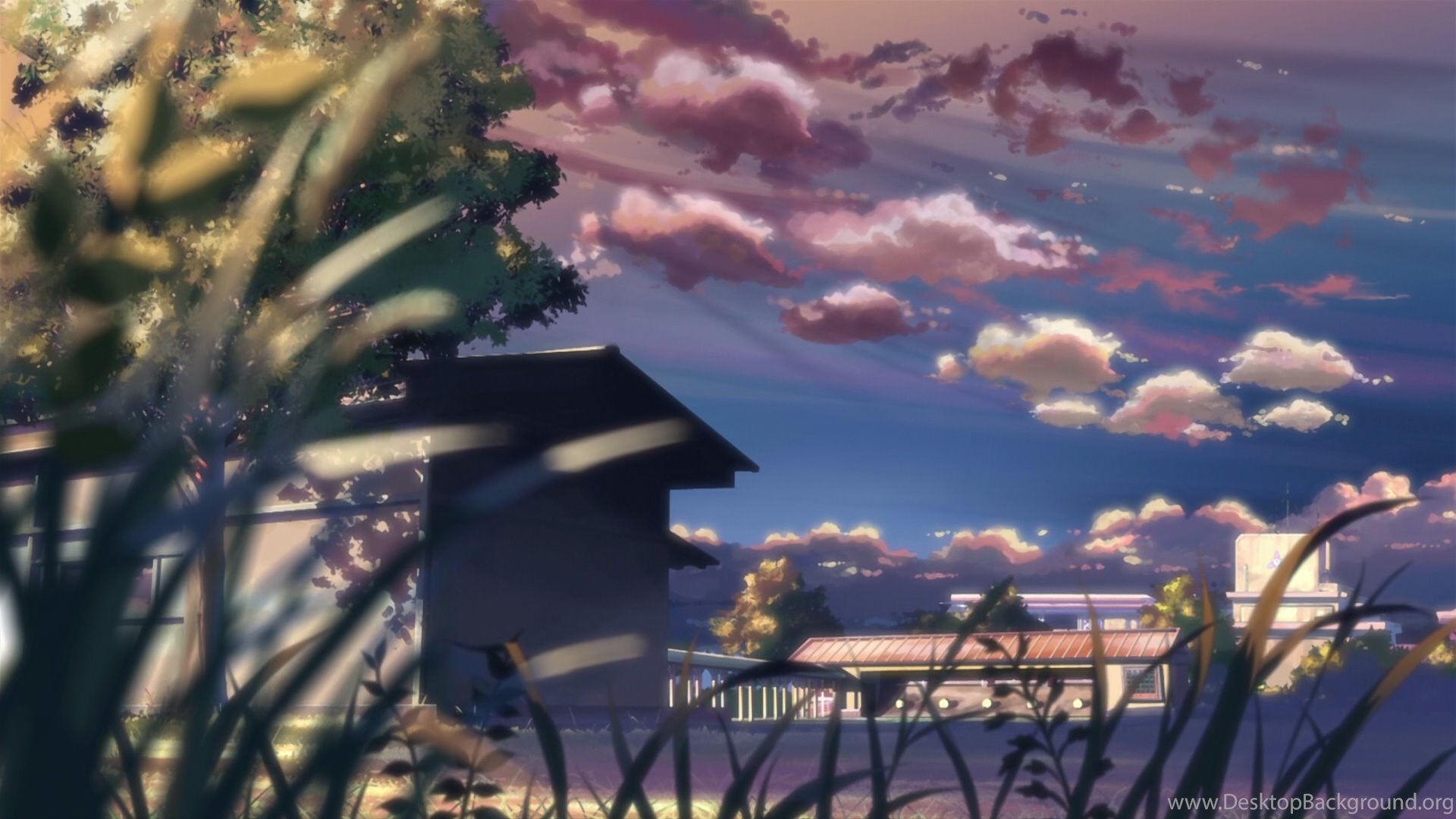 Popular - 5 Centimeters Per Second Background , HD Wallpaper & Backgrounds